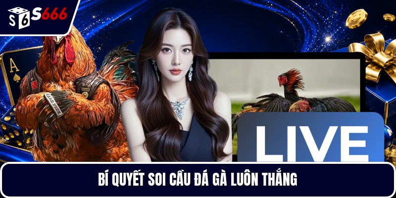 Bí quyết soi cầu đá gà luôn thắng
