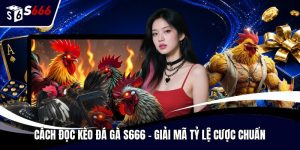 Cách đọc kèo đá gà S666