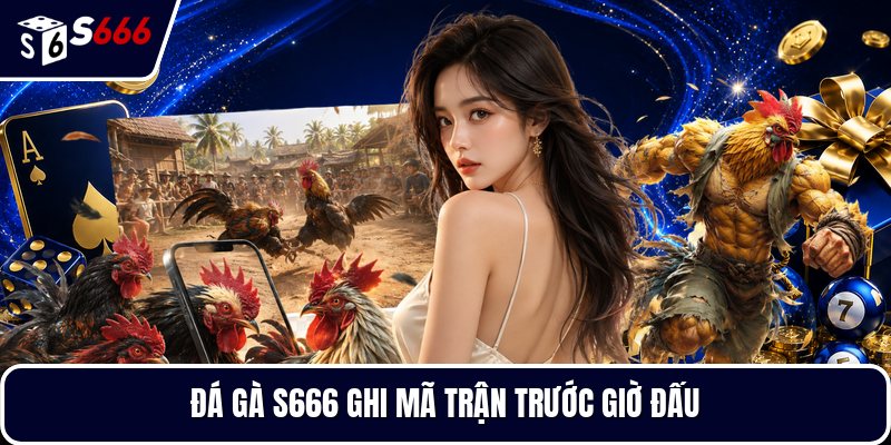 Đá gà S666 ghi mã trận trước giờ đấu