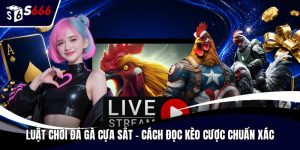 Luật chơi đá gà cựa sắt