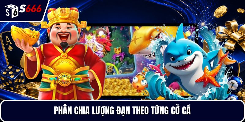 Phân chia lượng đạn theo từng cỡ cá